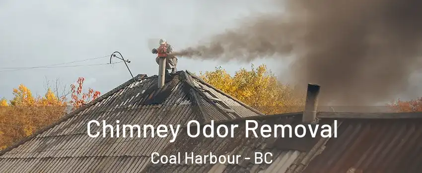  Chimney Odor Removal Coal Harbour - BC