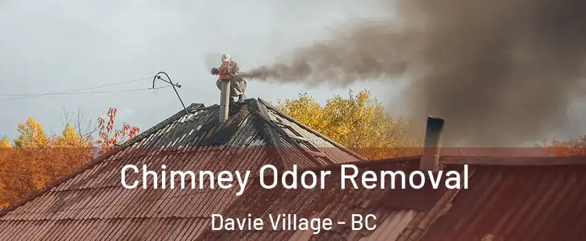  Chimney Odor Removal Davie Village - BC