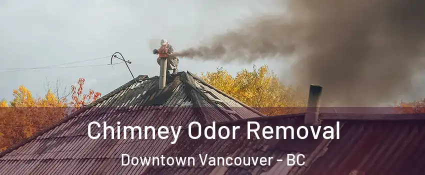  Chimney Odor Removal Downtown Vancouver - BC