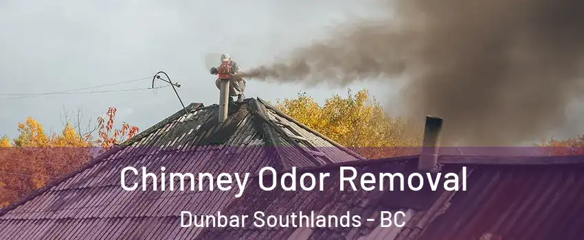  Chimney Odor Removal Dunbar Southlands - BC