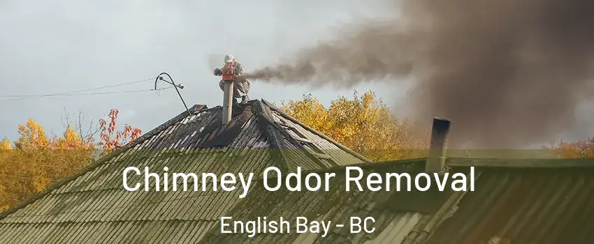  Chimney Odor Removal English Bay - BC