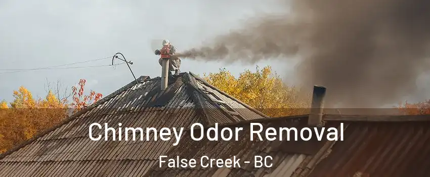  Chimney Odor Removal False Creek - BC