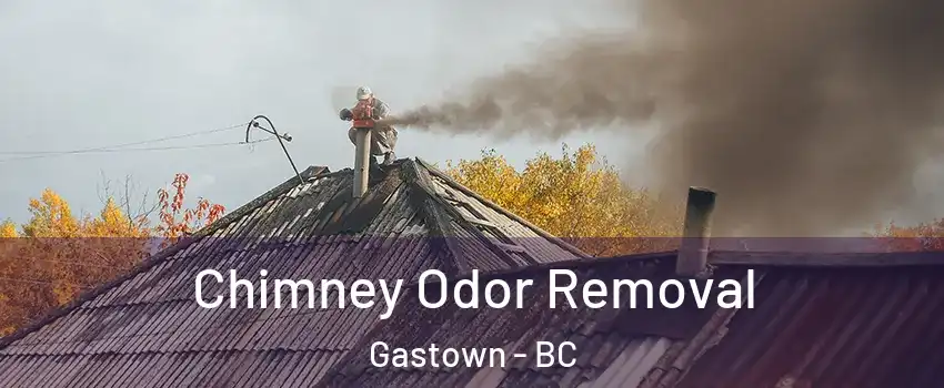  Chimney Odor Removal Gastown - BC