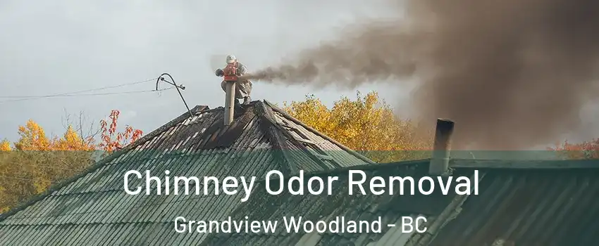  Chimney Odor Removal Grandview Woodland - BC