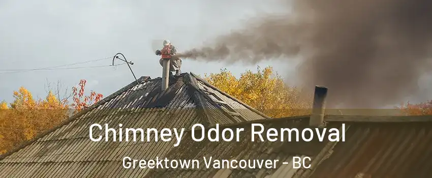  Chimney Odor Removal Greektown Vancouver - BC