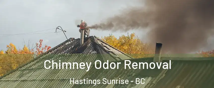  Chimney Odor Removal Hastings Sunrise - BC