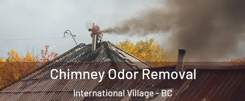  Chimney Odor Removal International Village - BC