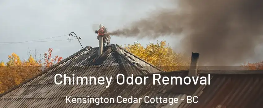  Chimney Odor Removal Kensington Cedar Cottage - BC
