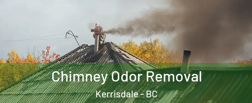  Chimney Odor Removal Kerrisdale - BC