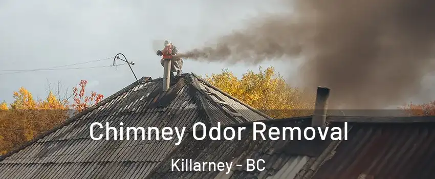  Chimney Odor Removal Killarney - BC