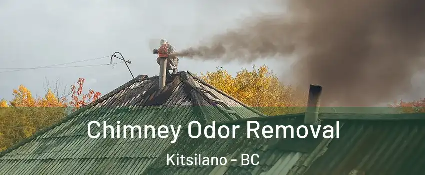  Chimney Odor Removal Kitsilano - BC