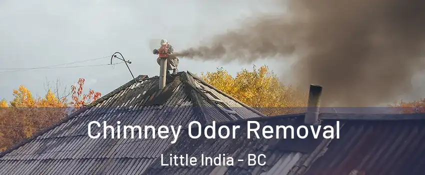  Chimney Odor Removal Little India - BC
