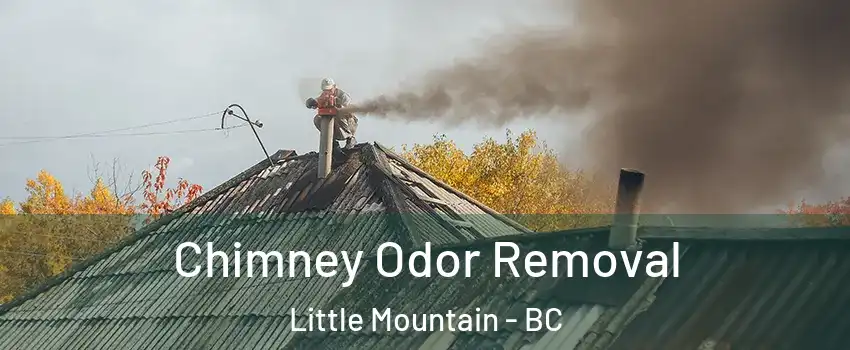  Chimney Odor Removal Little Mountain - BC