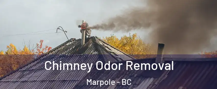  Chimney Odor Removal Marpole - BC