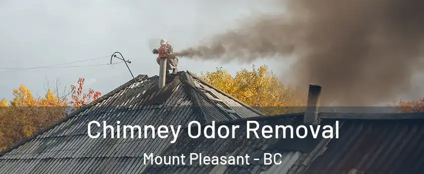  Chimney Odor Removal Mount Pleasant - BC
