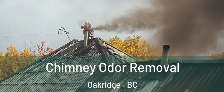  Chimney Odor Removal Oakridge - BC