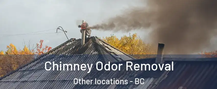  Chimney Odor Removal Other locations - BC