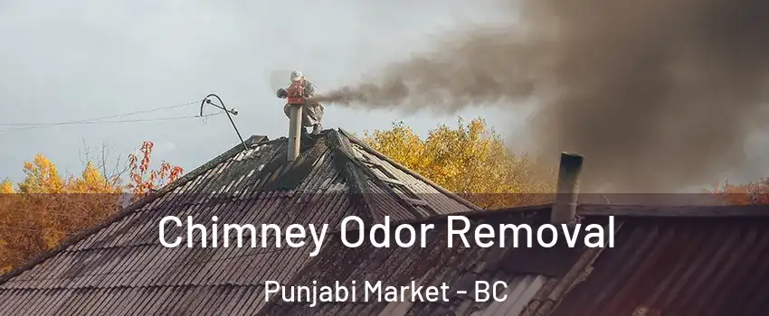 Chimney Odor Removal Punjabi Market - BC