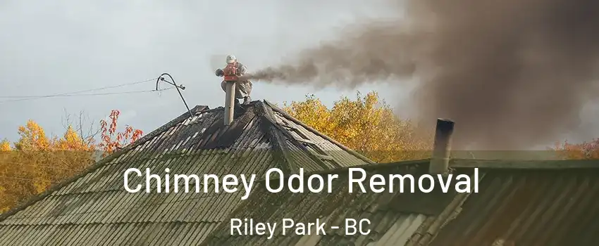  Chimney Odor Removal Riley Park - BC