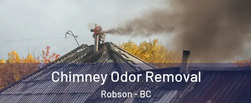  Chimney Odor Removal Robson - BC