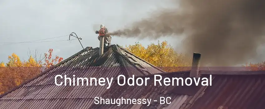  Chimney Odor Removal Shaughnessy - BC