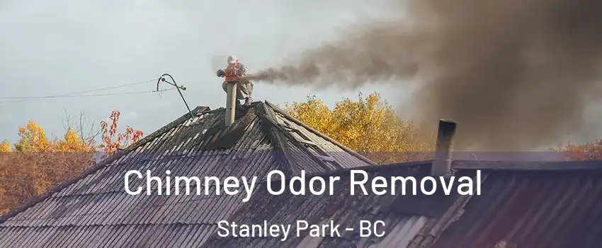  Chimney Odor Removal Stanley Park - BC