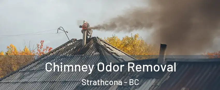  Chimney Odor Removal Strathcona - BC