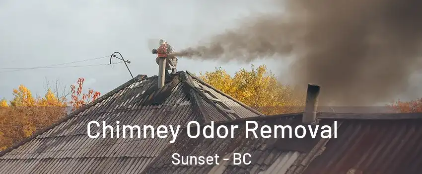  Chimney Odor Removal Sunset - BC