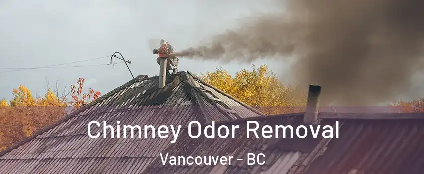  Chimney Odor Removal Vancouver - BC