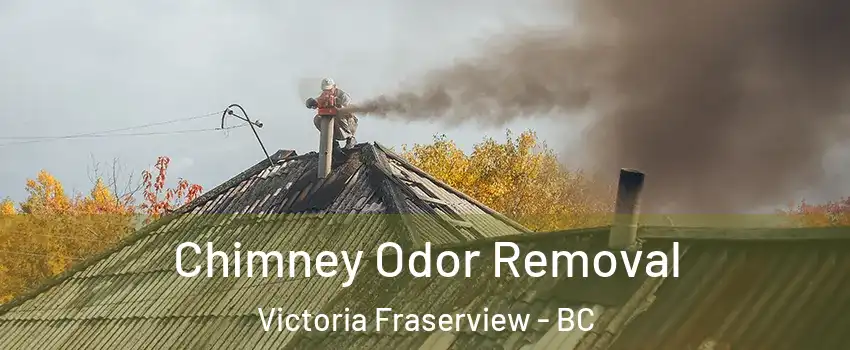  Chimney Odor Removal Victoria Fraserview - BC