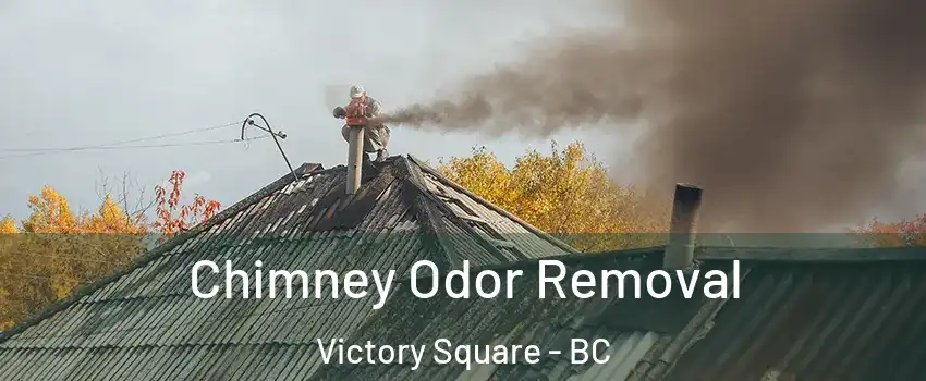  Chimney Odor Removal Victory Square - BC