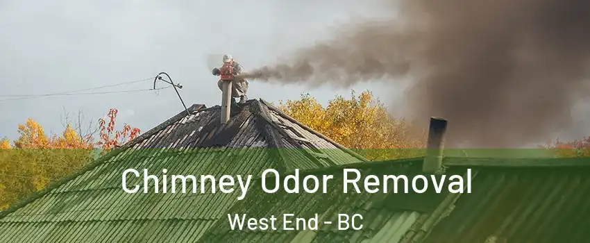  Chimney Odor Removal West End - BC