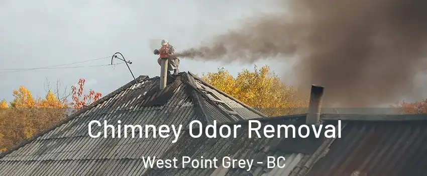  Chimney Odor Removal West Point Grey - BC