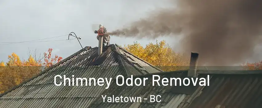  Chimney Odor Removal Yaletown - BC