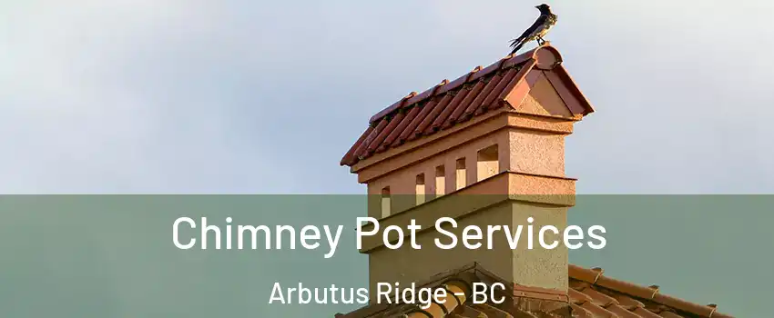  Chimney Pot Services Arbutus Ridge - BC