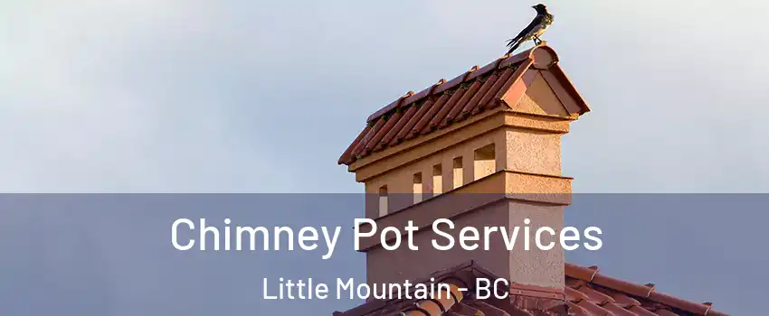  Chimney Pot Services Little Mountain - BC