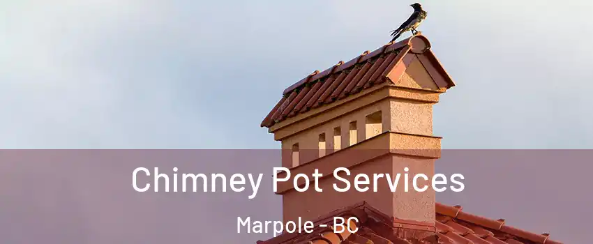  Chimney Pot Services Marpole - BC