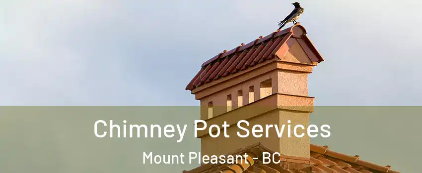  Chimney Pot Services Mount Pleasant - BC