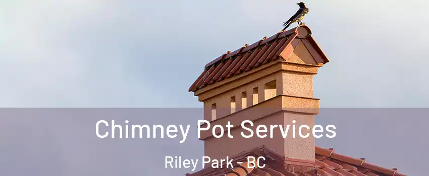  Chimney Pot Services Riley Park - BC
