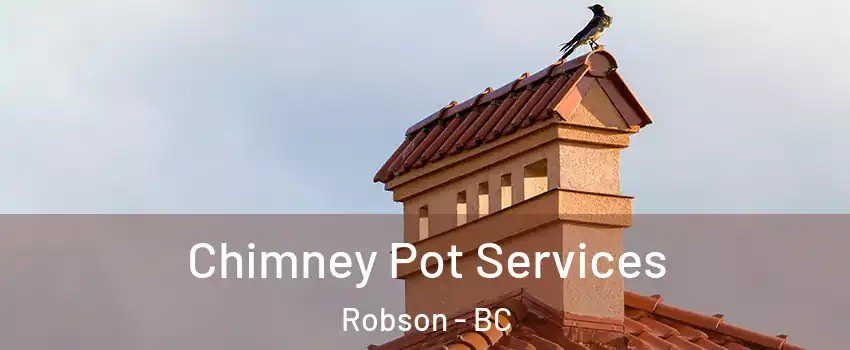  Chimney Pot Services Robson - BC