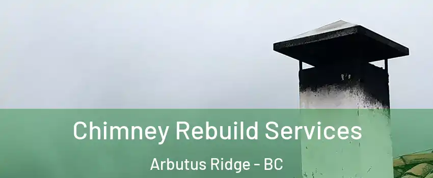  Chimney Rebuild Services Arbutus Ridge - BC