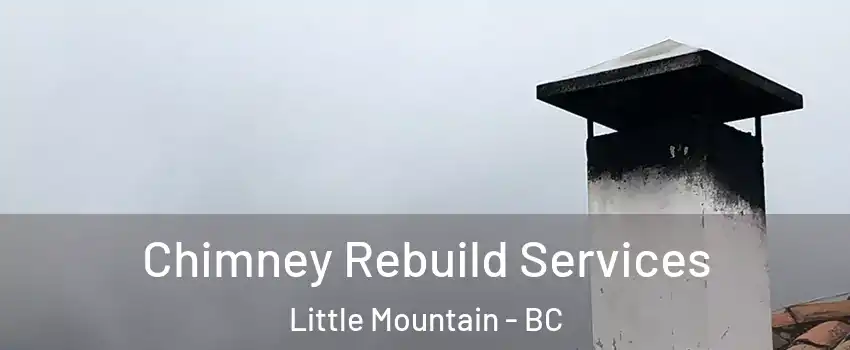  Chimney Rebuild Services Little Mountain - BC