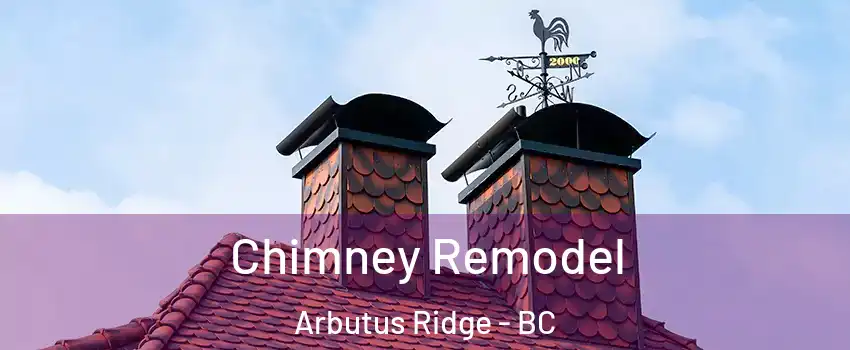  Chimney Remodel Arbutus Ridge - BC