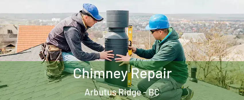  Chimney Repair Arbutus Ridge - BC