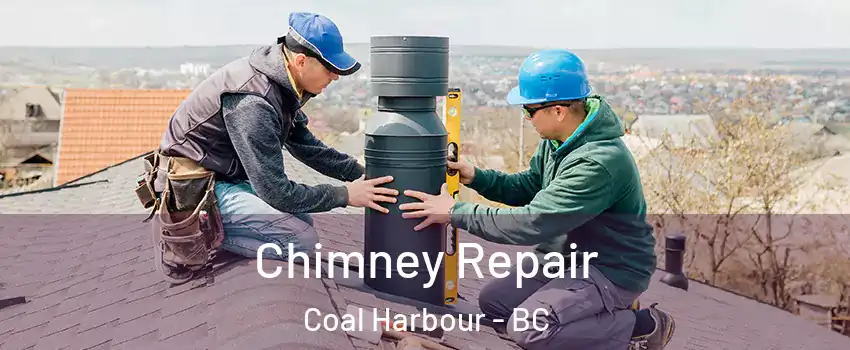  Chimney Repair Coal Harbour - BC
