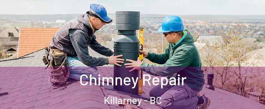  Chimney Repair Killarney - BC