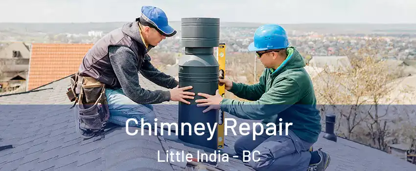  Chimney Repair Little India - BC