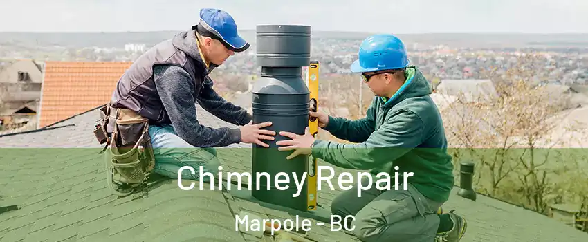  Chimney Repair Marpole - BC