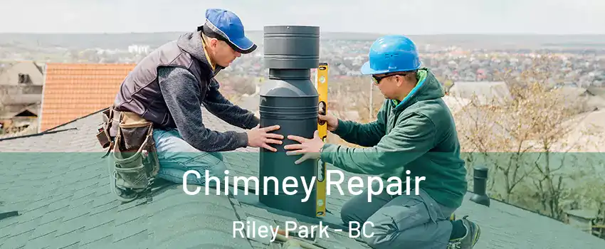  Chimney Repair Riley Park - BC