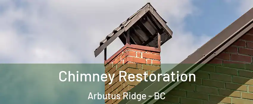  Chimney Restoration Arbutus Ridge - BC